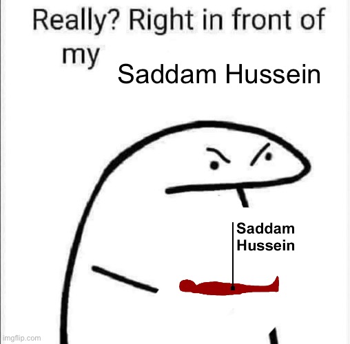 Really, right in front of my | Saddam Hussein | image tagged in really right in front of my | made w/ Imgflip meme maker