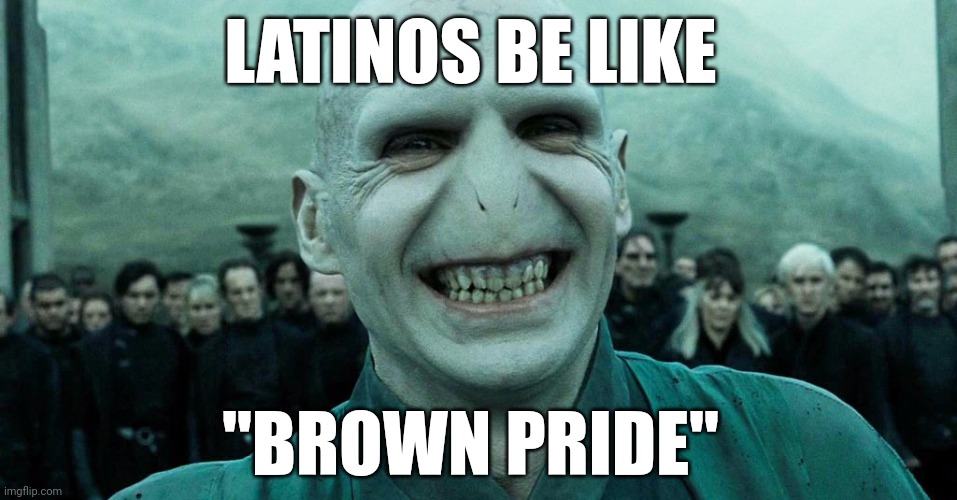 Latinos be like: "Brown pride" | LATINOS BE LIKE; "BROWN PRIDE" | image tagged in voldemort | made w/ Imgflip meme maker