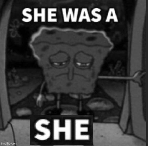 She was a he | image tagged in she was a he | made w/ Imgflip meme maker