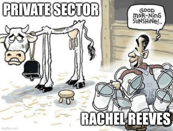 Good Morning sunshine (cow) | PRIVATE SECTOR; RACHEL REEVES | image tagged in good morning sunshine cow | made w/ Imgflip meme maker
