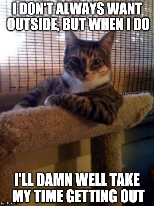 The Most Interesting Cat In The World Meme | I DON'T ALWAYS WANT OUTSIDE, BUT WHEN I DO I'LL DAMN WELL TAKE MY TIME GETTING OUT | image tagged in memes,the most interesting cat in the world | made w/ Imgflip meme maker