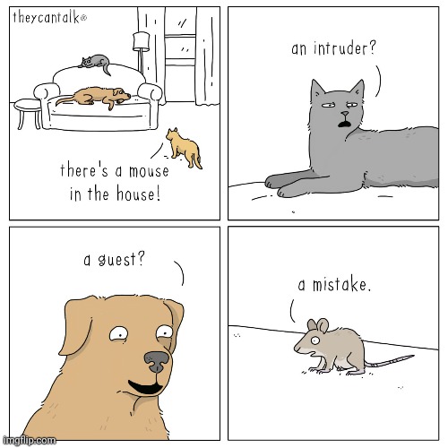 Mouse | image tagged in mouse,dog,cat,intruder,comics,comics/cartoons | made w/ Imgflip meme maker