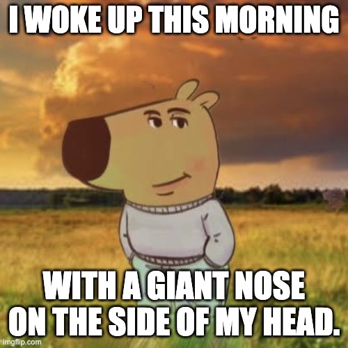 Chill Guy | I WOKE UP THIS MORNING; WITH A GIANT NOSE ON THE SIDE OF MY HEAD. | image tagged in chill guy | made w/ Imgflip meme maker