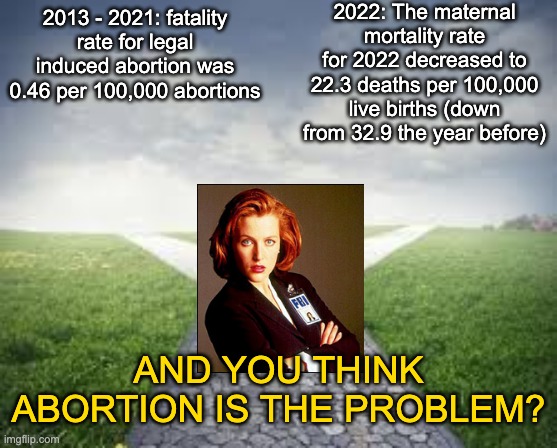 For all of the boys on this stream yelling about abortion, sorry YOU'RE so scared | 2022: The maternal mortality rate for 2022 decreased to 22.3 deaths per 100,000 live births (down from 32.9 the year before); 2013 - 2021: fatality rate for legal induced abortion was 0.46 per 100,000 abortions; AND YOU THINK ABORTION IS THE PROBLEM? | image tagged in different roads,abortion,death,risk,math,statistics | made w/ Imgflip meme maker