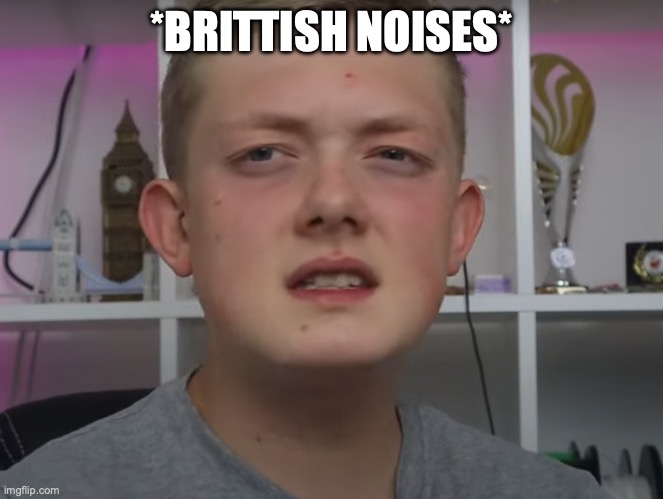 discusted brittish kid | *BRITTISH NOISES* | image tagged in discusted brittish kid | made w/ Imgflip meme maker