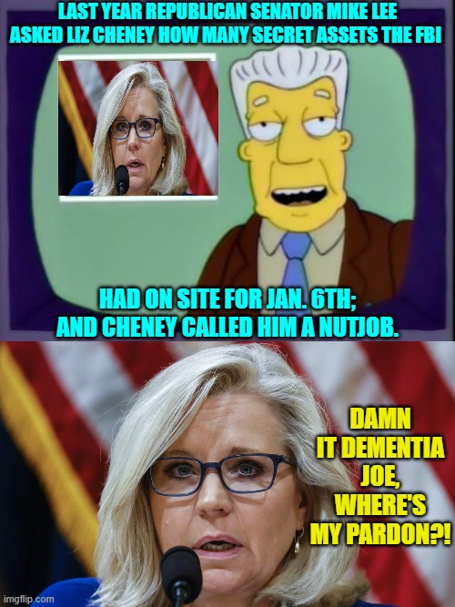 Careful Liz; Hillary Clinton just might decide you know too much. | LAST YEAR REPUBLICAN SENATOR MIKE LEE ASKED LIZ CHENEY HOW MANY SECRET ASSETS THE FBI; HAD ON SITE FOR JAN. 6TH; AND CHENEY CALLED HIM A NUTJOB. DAMN IT DEMENTIA JOE, WHERE'S MY PARDON?! | image tagged in yep | made w/ Imgflip meme maker