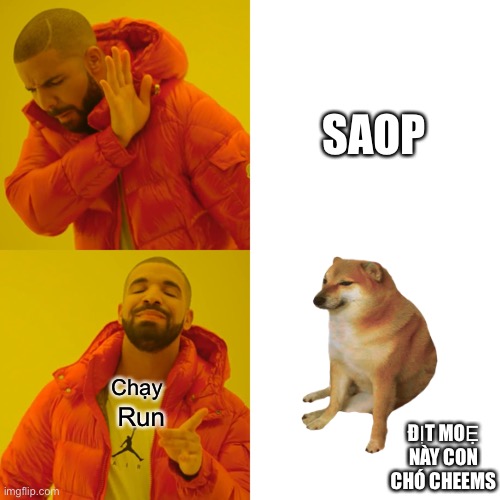 Drake Hotline Bling Meme | Chạy Run SAOP ĐỊT MOẸ NÀY CON CHÓ CHEEMS | image tagged in memes,drake hotline bling | made w/ Imgflip meme maker