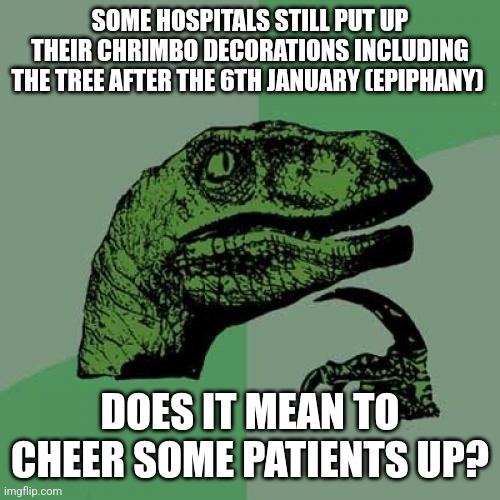 Philosoraptor | SOME HOSPITALS STILL PUT UP THEIR CHRIMBO DECORATIONS INCLUDING THE TREE AFTER THE 6TH JANUARY (EPIPHANY); DOES IT MEAN TO CHEER SOME PATIENTS UP? | image tagged in memes,philosoraptor | made w/ Imgflip meme maker