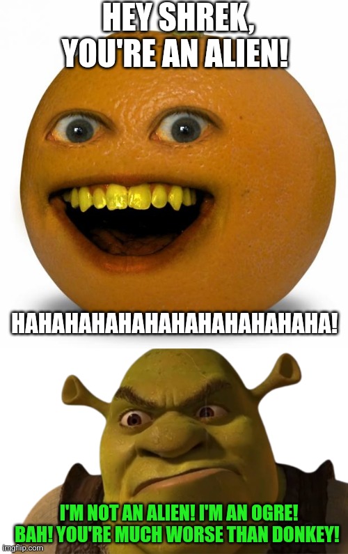 What if the infamous fruit annoys Shrek? | HEY SHREK, YOU'RE AN ALIEN! HAHAHAHAHAHAHAHAHAHAHAHA! I'M NOT AN ALIEN! I'M AN OGRE! BAH! YOU'RE MUCH WORSE THAN DONKEY! | image tagged in annoying orange,shrek | made w/ Imgflip meme maker