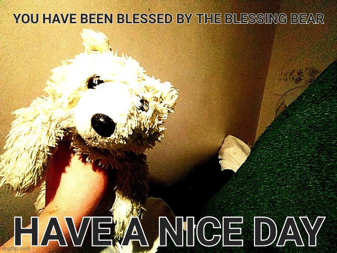 blessing bear | image tagged in blessing bear | made w/ Imgflip meme maker