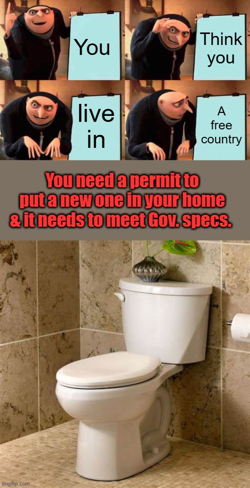 Food for thought. | You; Think you; live in; A free country; You need a permit to put a new one in your home & it needs to meet Gov. specs. | image tagged in memes,gru's plan | made w/ Imgflip meme maker