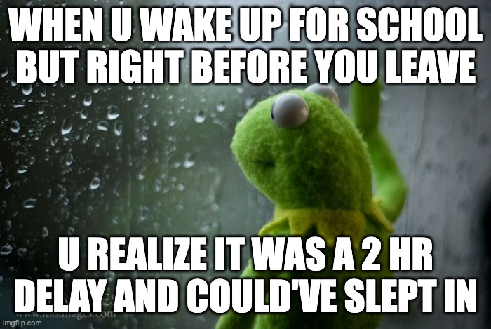 Am I a Joke to You? | WHEN U WAKE UP FOR SCHOOL BUT RIGHT BEFORE YOU LEAVE; U REALIZE IT WAS A 2 HR DELAY AND COULD'VE SLEPT IN | image tagged in kermit window | made w/ Imgflip meme maker