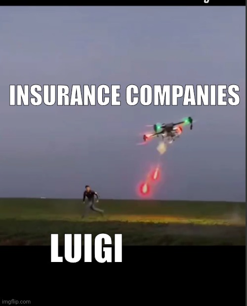 What The Drones Are Really For | INSURANCE COMPANIES; LUIGI | image tagged in funny memes,luigi,drones,new jersey | made w/ Imgflip meme maker