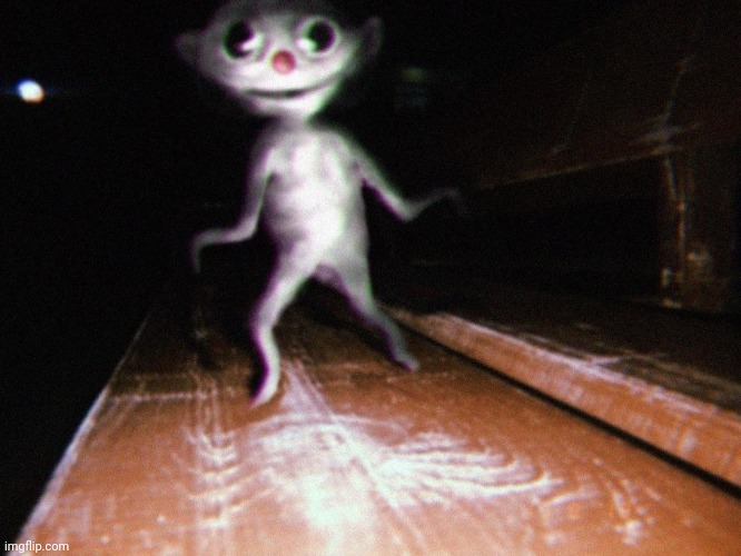 What do you do if you see this? | image tagged in nerpo | made w/ Imgflip meme maker