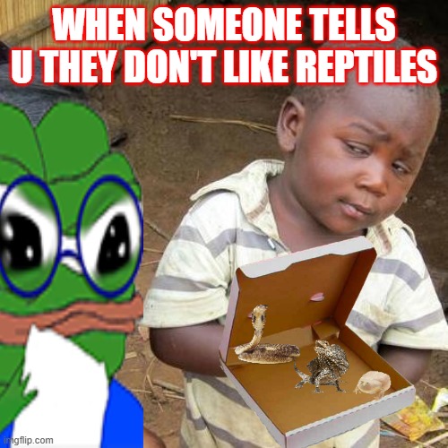 reptiles | WHEN SOMEONE TELLS U THEY DON'T LIKE REPTILES | image tagged in memes,third world skeptical kid | made w/ Imgflip meme maker