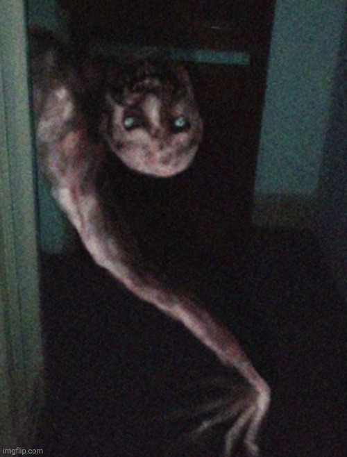 What do you do if you see this? | made w/ Imgflip meme maker