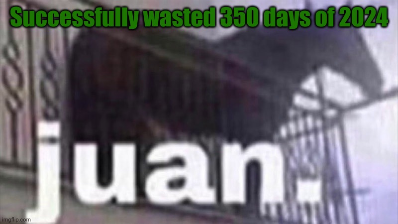 Juan horse | Successfully wasted 350 days of 2024 | image tagged in juan horse | made w/ Imgflip meme maker