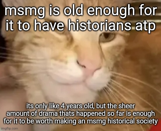 cat mewing | msmg is old enough for it to have historians atp; its only like 4 years old, but the sheer amount of drama thats happened so far is enough for it to be worth making an msmg historical society | image tagged in cat mewing | made w/ Imgflip meme maker