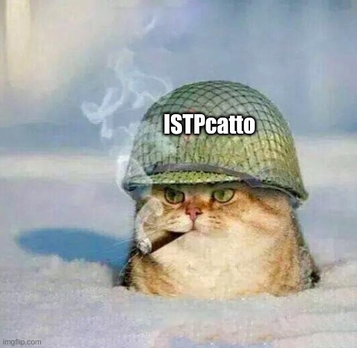 ISTPcatto | ISTPcatto | image tagged in war cat,istp,psychology,personality,mbti,myers briggs | made w/ Imgflip meme maker