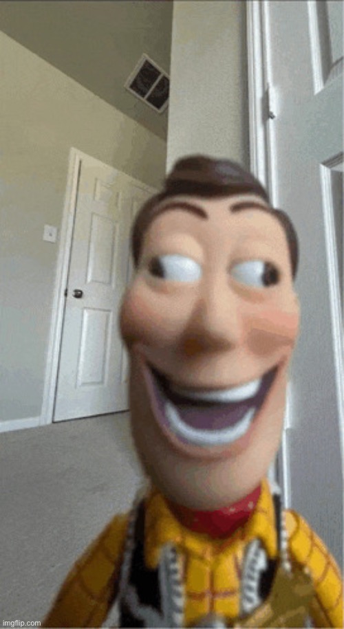 Woody derp | image tagged in woody derp | made w/ Imgflip meme maker