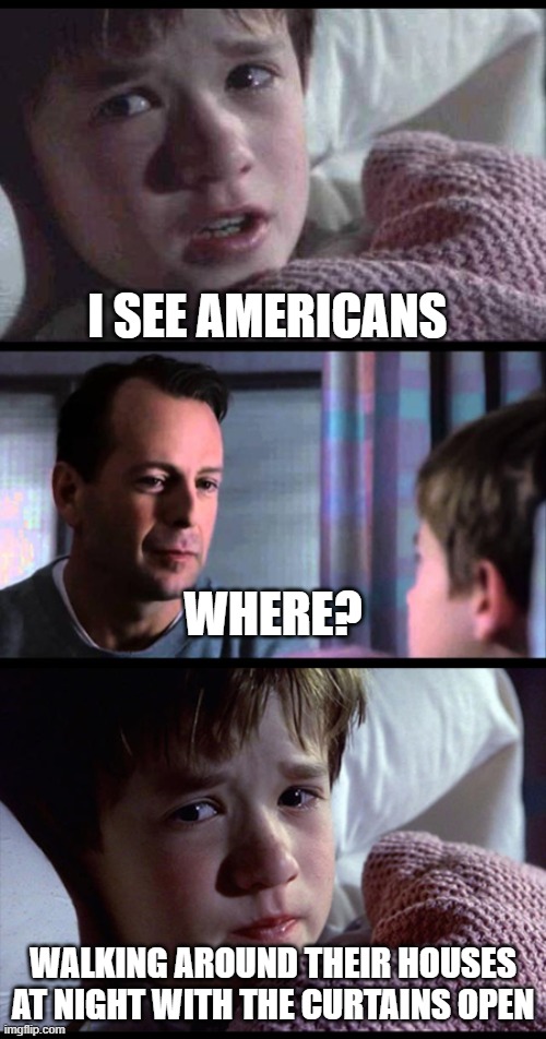 curtains | I SEE AMERICANS; WHERE? WALKING AROUND THEIR HOUSES AT NIGHT WITH THE CURTAINS OPEN | image tagged in i see dead people 3-frame,america,usa,americans | made w/ Imgflip meme maker