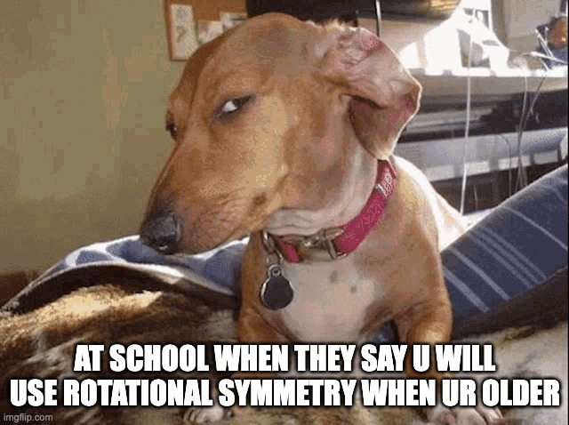 Sideye Dog | AT SCHOOL WHEN THEY SAY U WILL USE ROTATIONAL SYMMETRY WHEN UR OLDER | image tagged in sideye dog | made w/ Imgflip meme maker