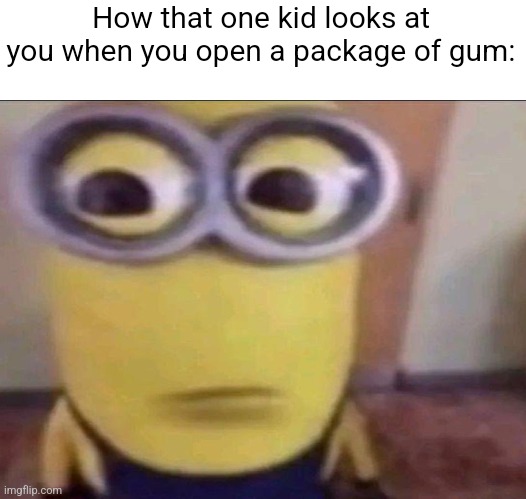 There is always that one kid | How that one kid looks at you when you open a package of gum: | image tagged in minion stare | made w/ Imgflip meme maker