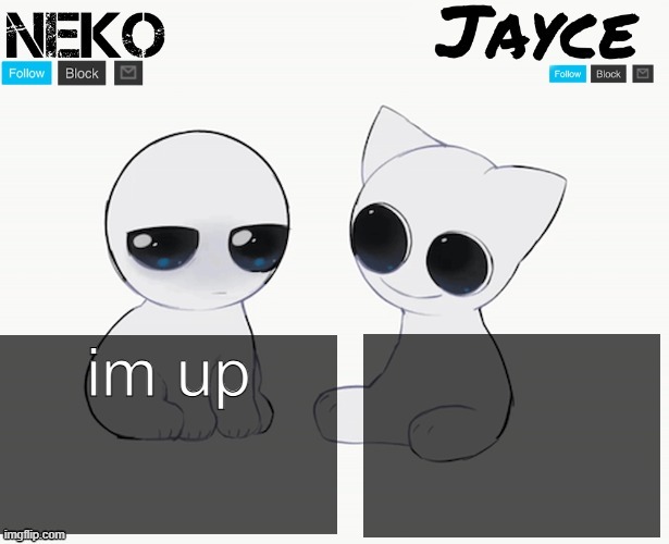 Neko and Jayce shared temp | im up | image tagged in neko and jayce shared temp | made w/ Imgflip meme maker