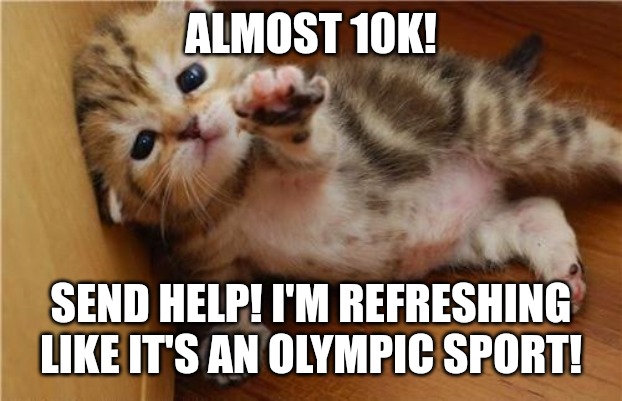 Almost there...! | ALMOST 10K! SEND HELP! I'M REFRESHING LIKE IT'S AN OLYMPIC SPORT! | image tagged in help me kitten,funny,funny memes,fun,help me | made w/ Imgflip meme maker