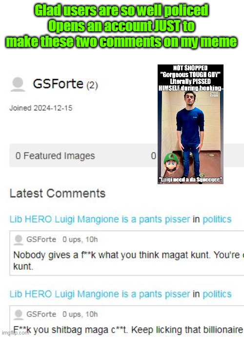 NO other activity, flagged, bupkiss | Glad users are so well policed
Opens an account JUST to make these two comments on my meme | image tagged in gsforte meme | made w/ Imgflip meme maker