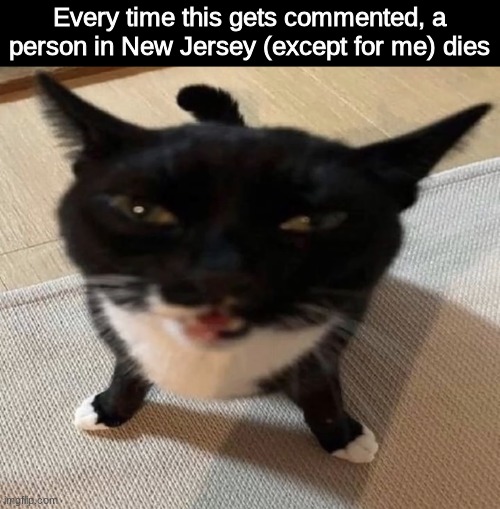 Cat of anger | Every time this gets commented, a person in New Jersey (except for me) dies | image tagged in cat of anger | made w/ Imgflip meme maker