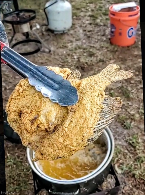 Fried Fish | image tagged in fried fish | made w/ Imgflip meme maker