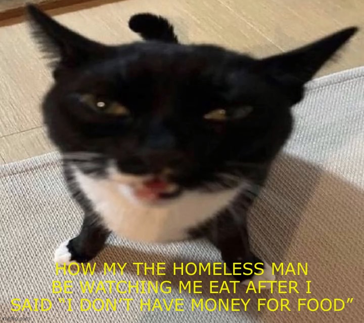 Zamn | HOW MY THE HOMELESS MAN BE WATCHING ME EAT AFTER I SAID “I DON’T HAVE MONEY FOR FOOD” | image tagged in cat of anger,yes | made w/ Imgflip meme maker