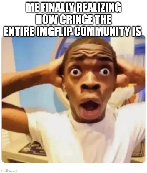 I'll still make memes tho | ME FINALLY REALIZING HOW CRINGE THE ENTIRE IMGFLIP COMMUNITY IS | image tagged in black guy suprised | made w/ Imgflip meme maker