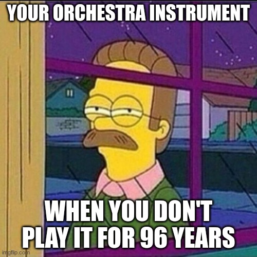 Stalker: Orchestra Version | YOUR ORCHESTRA INSTRUMENT; WHEN YOU DON'T PLAY IT FOR 96 YEARS | image tagged in stalker,orchestra,bruh | made w/ Imgflip meme maker