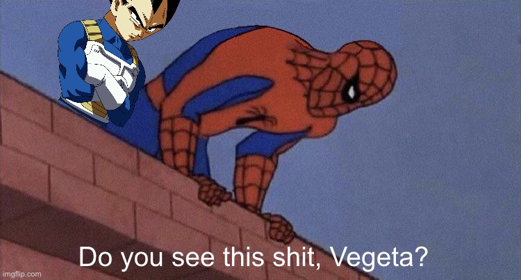 do you see this shit blank | Do you see this shit, Vegeta? | image tagged in do you see this shit blank | made w/ Imgflip meme maker