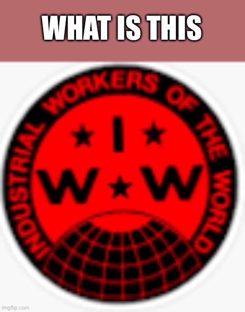 IWW logo | WHAT IS THIS | image tagged in iww logo | made w/ Imgflip meme maker