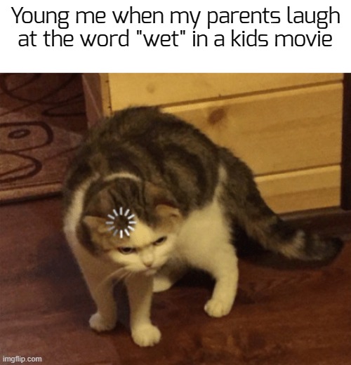 i don't get it | Young me when my parents laugh at the word "wet" in a kids movie | image tagged in lag cat,funny,memes | made w/ Imgflip meme maker