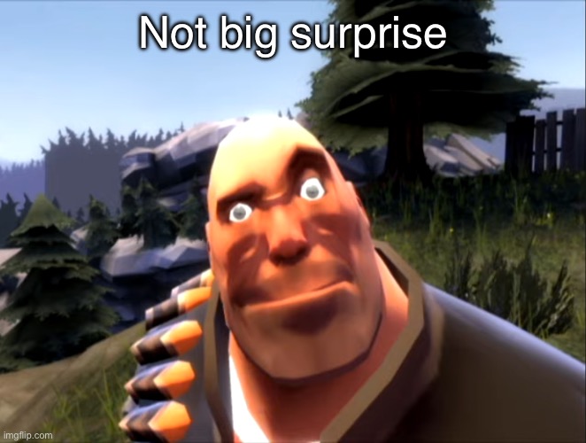 Heavy Weapons Guy in DeGroot Keep | Not big surprise | image tagged in heavy weapons guy in degroot keep | made w/ Imgflip meme maker
