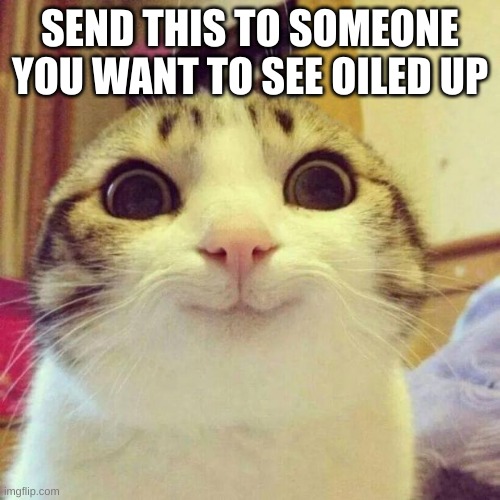 Do it | SEND THIS TO SOMEONE YOU WANT TO SEE OILED UP | image tagged in memes,smiling cat | made w/ Imgflip meme maker