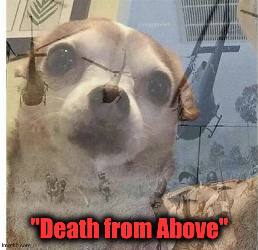 PTSD Chihuahua | "Death from Above" | image tagged in ptsd chihuahua | made w/ Imgflip meme maker