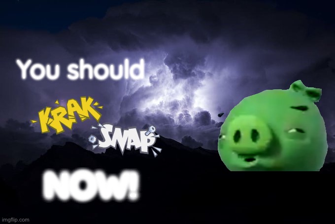 LTG Lightning | You should NOW! | image tagged in ltg lightning | made w/ Imgflip meme maker