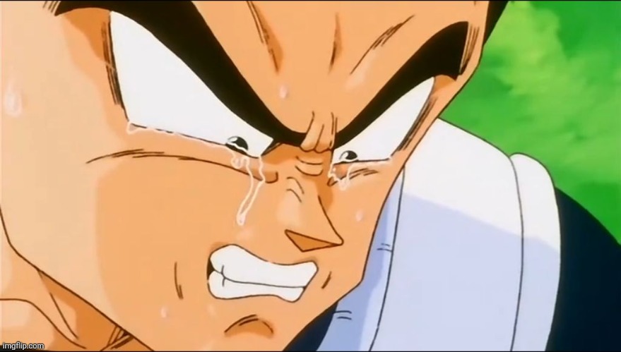 Vegeta Crying | image tagged in vegeta crying | made w/ Imgflip meme maker