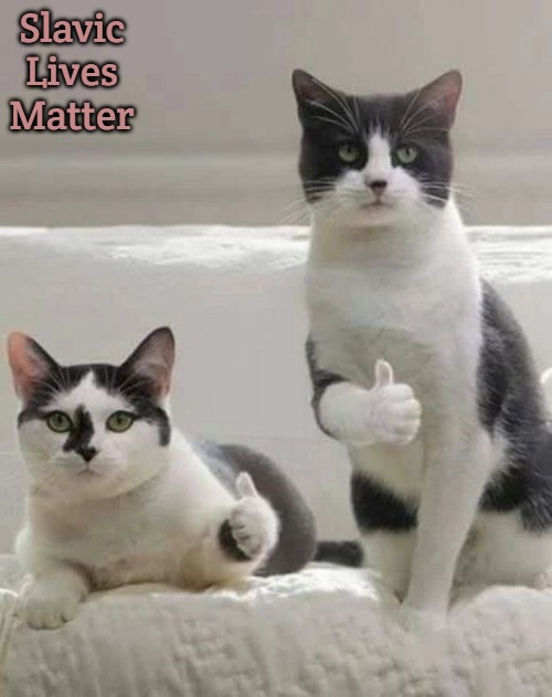 THUMBS UP CATS | Slavic Lives Matter | image tagged in thumbs up cats,slavic | made w/ Imgflip meme maker