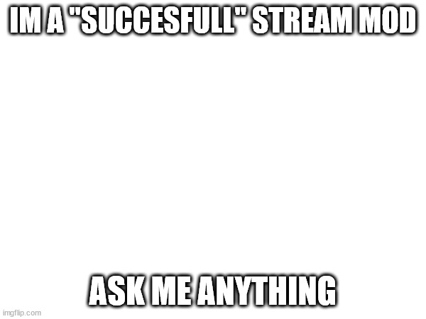 idk | IM A "SUCCESFULL" STREAM MOD; ASK ME ANYTHING | image tagged in n,i,g,-,just kidding have a nice day | made w/ Imgflip meme maker