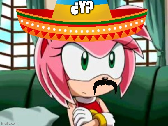 Unamused Amy Rose | ¿Y? | image tagged in unamused amy rose | made w/ Imgflip meme maker