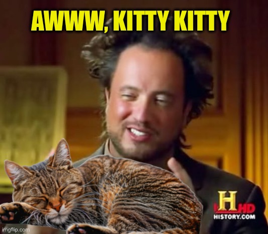 Ancient Aliens Meme | AWWW, KITTY KITTY | image tagged in memes,ancient aliens | made w/ Imgflip meme maker