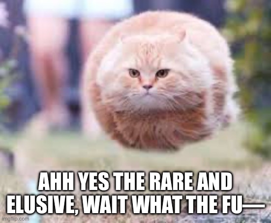 Wtf | AHH YES THE RARE AND ELUSIVE, WAIT WHAT THE FU— | image tagged in get over here | made w/ Imgflip meme maker