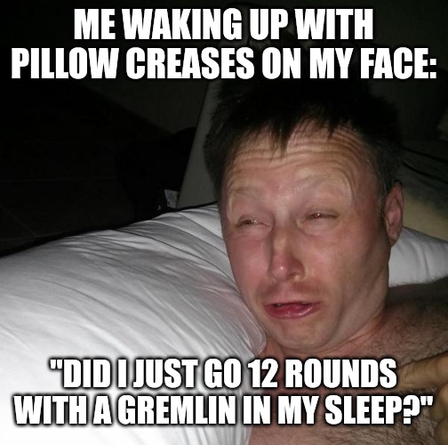 12 rounds | ME WAKING UP WITH PILLOW CREASES ON MY FACE:; "DID I JUST GO 12 ROUNDS WITH A GREMLIN IN MY SLEEP?" | image tagged in limmy waking up,funny,funny memes,fun | made w/ Imgflip meme maker