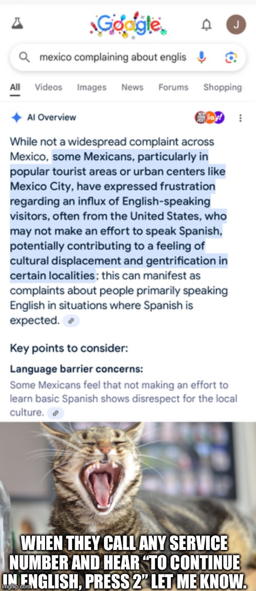 WHEN THEY CALL ANY SERVICE NUMBER AND HEAR “TO CONTINUE IN ENGLISH, PRESS 2” LET ME KNOW. | image tagged in cat yawning | made w/ Imgflip meme maker